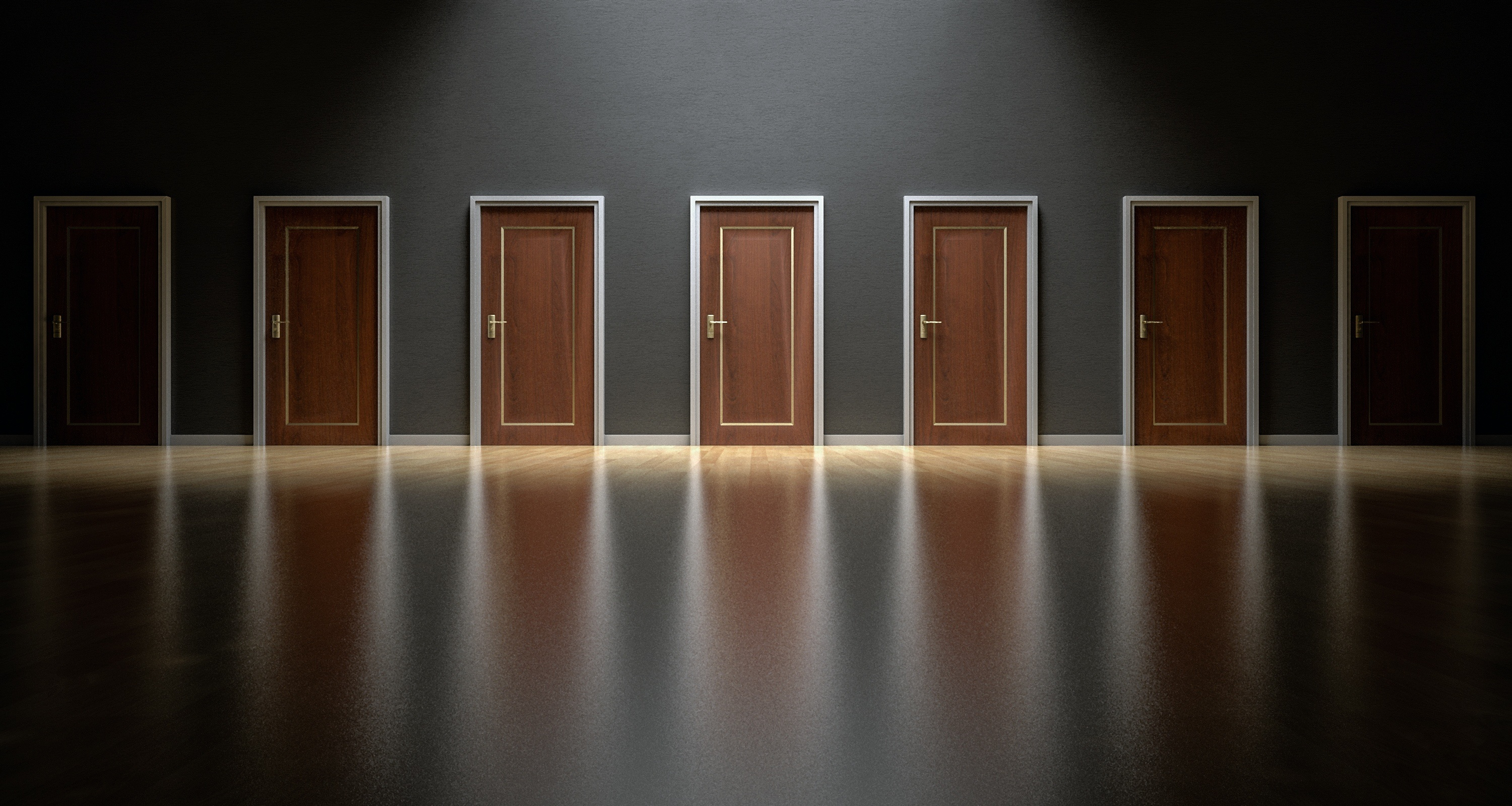 Dark room with endless row of wooden doors