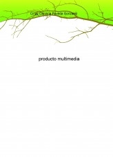 producto multimedia producto multimedia