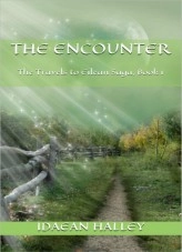 Book The Encounter, author idaean13 Book The Encounter, author idaean13