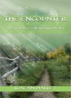 The Encounter