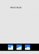 ROULT BLOG ROULT BLOG