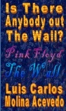 Is There Anybody Out The Wall Is There Anybody Out The Wall