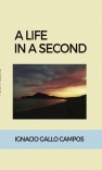 A life in a second A life in a second