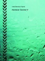 Book Atardecer Gaviota IV, author ivetteurroz Book Atardecer Gaviota IV, author ivetteurroz