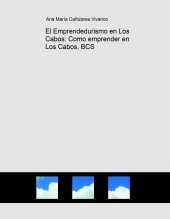 El Emprendedurismo en Los Cabos: Como emprender en Los Cabos, BCS El Emprendedurismo en Los Cabos: Como emprender en Los Cabos, BCS