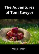 Book The Adventures of Tom Sawyer, author Alberto Ramos Book The Adventures of Tom Sawyer, author Alberto Ramos